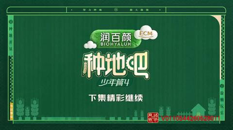 20260529下